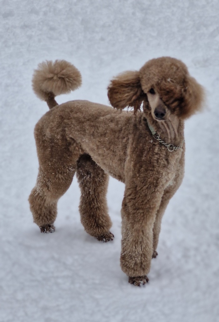 ���� ������!