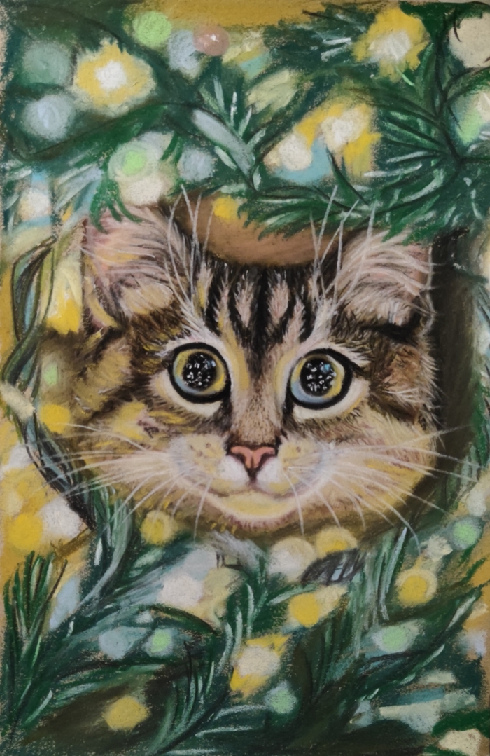 ������� ������� ������ �5, ����� ������, ����� �������, ������� �������� ���������