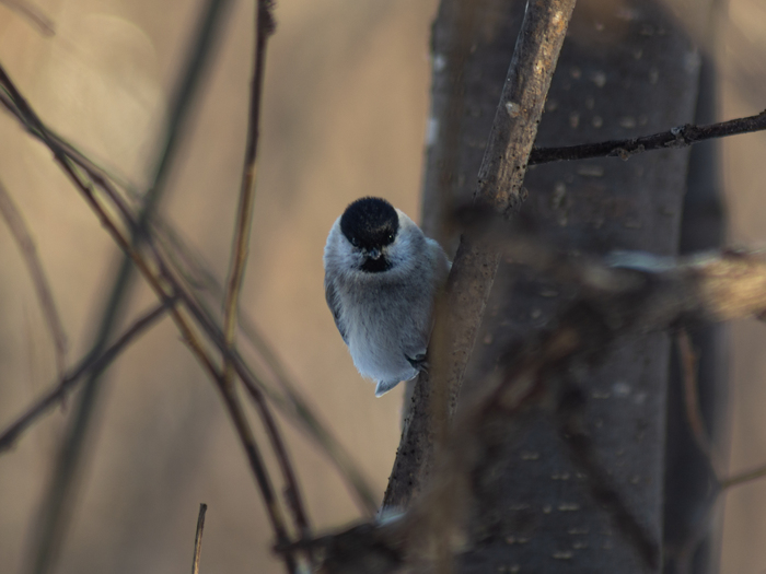 ����������� ����������📸