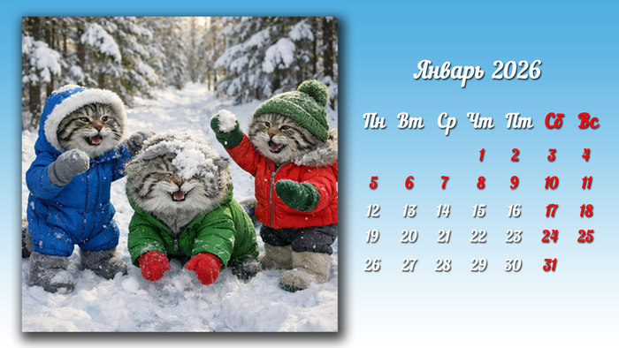 ��������� "�� ������". ������ 2026