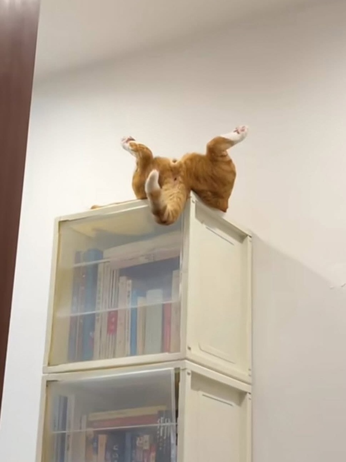 Что ты такое?