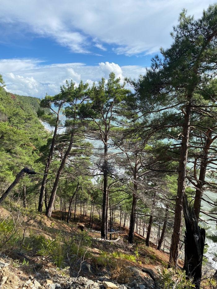 ��� ����� �������� ����� ����