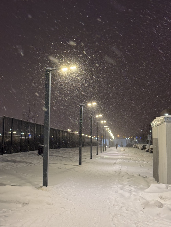 ����� ���������� ����