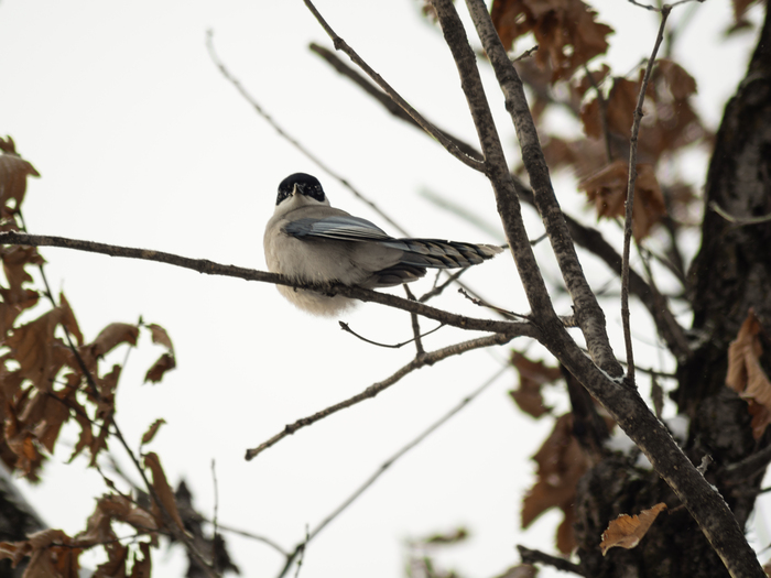 ��������� �� ����😄