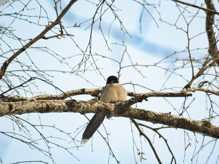 �������� �� ����������🙂