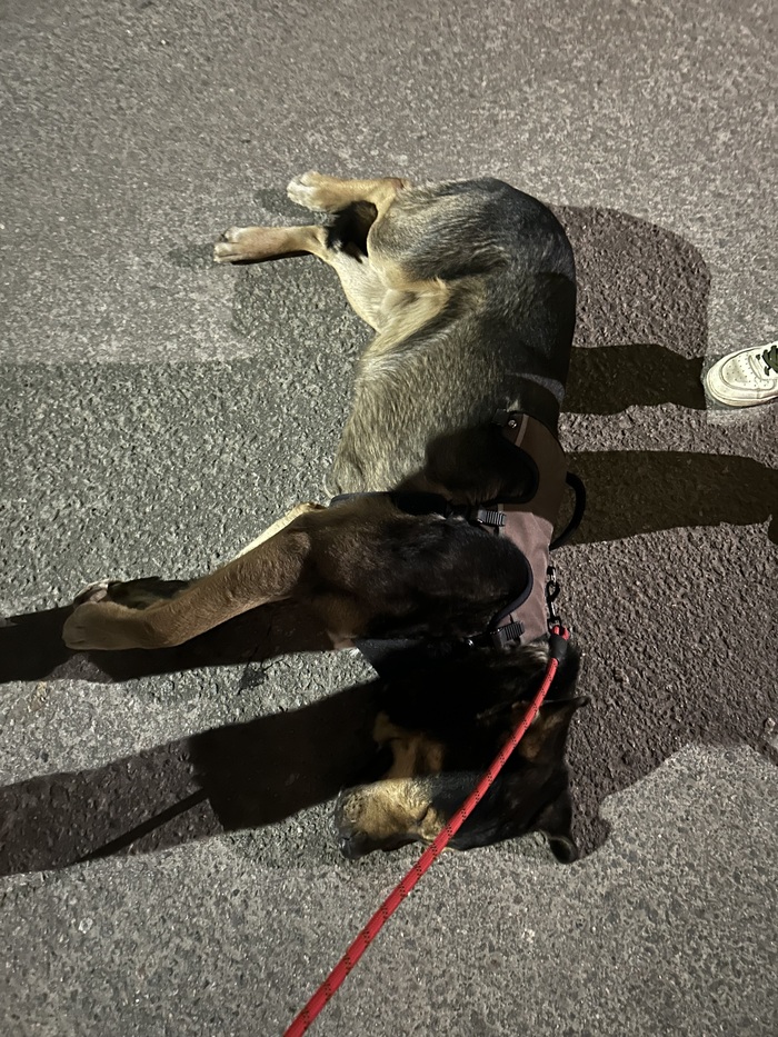 �� ������ ������