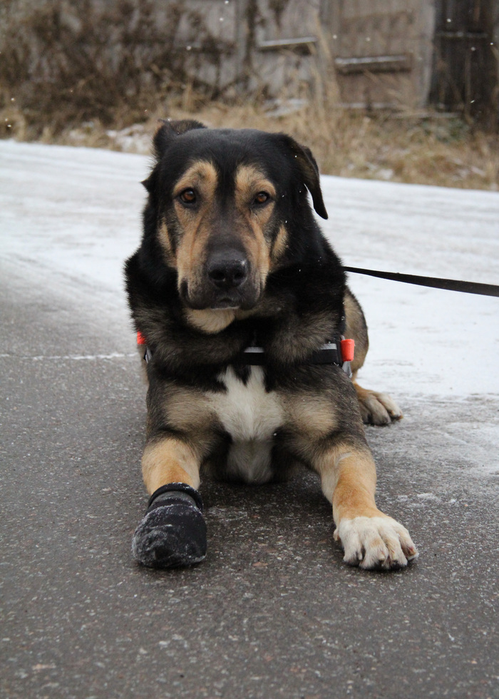 ������ �������� �� ����