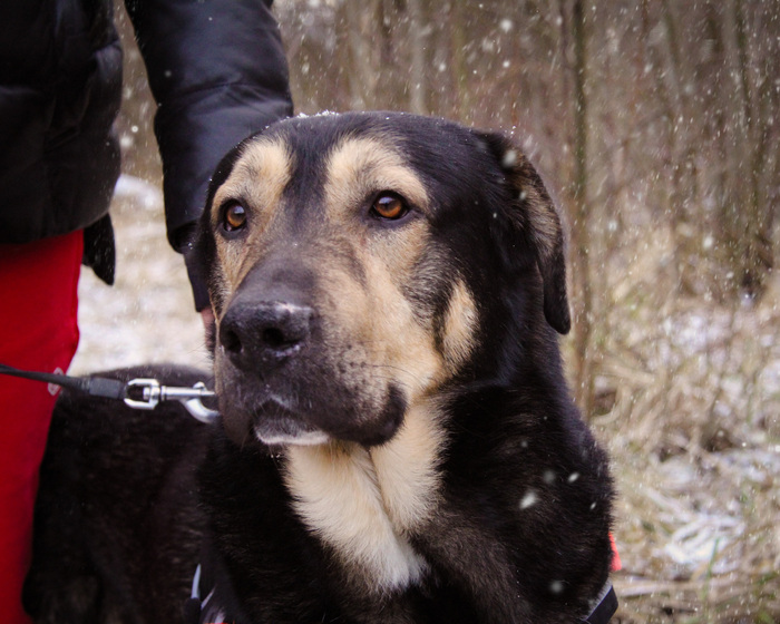 �� ��� �� ��������)