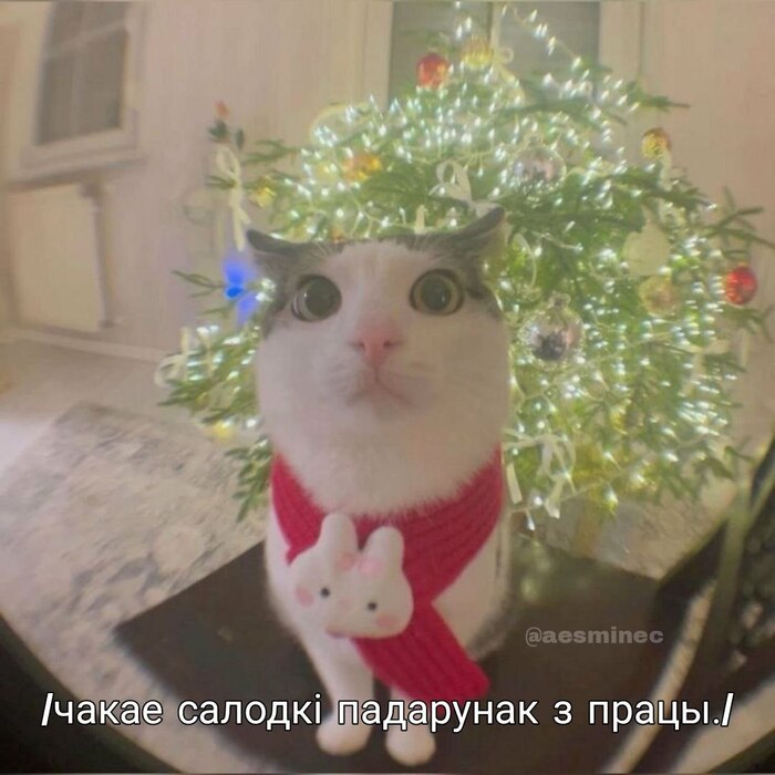 � ����� �����, ��������!