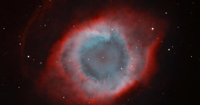 Цветы Вселенной