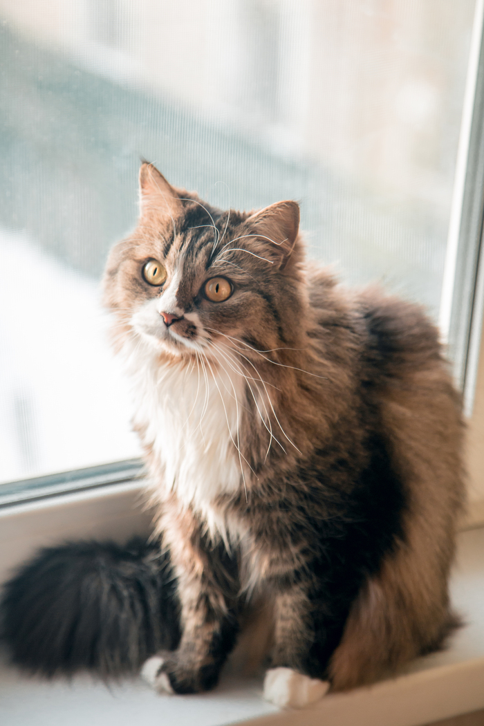 � ���� ���� ������ ����� �, � ���� �� ������, �������, ���� ������ � � ���� �� ������������� ��� �������.