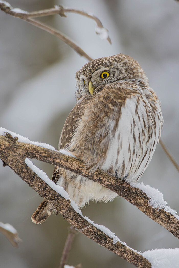 ( ��� ������� �� �������� ������ ����� ��������)