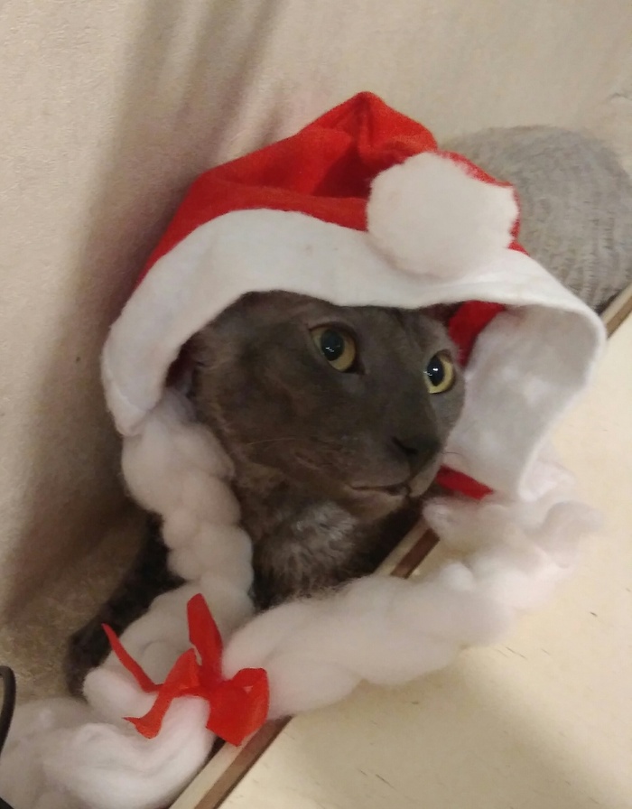 С наступающим Новым годом!