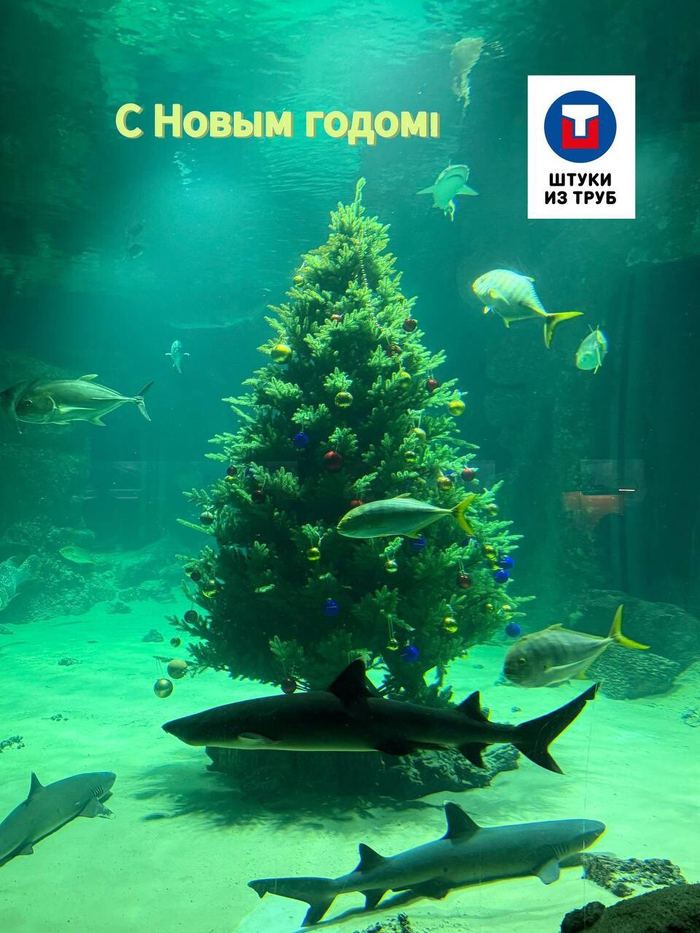 ���� ������. ������ ��� ���� � ������� ���� � ���������� �����������. ����� ����������