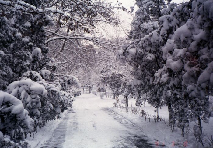 ������� ����� �� ����������.