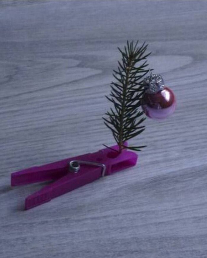 ������ ���� 2026