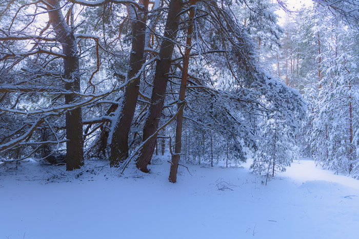 ����� ������� ��������� � ������������� � ������� ��������� ������ ���. �� ���� - ���� �� ����