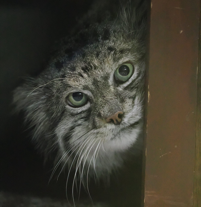 �� �� ���, � ���� �� ������ �� ���������� ���� ����������?