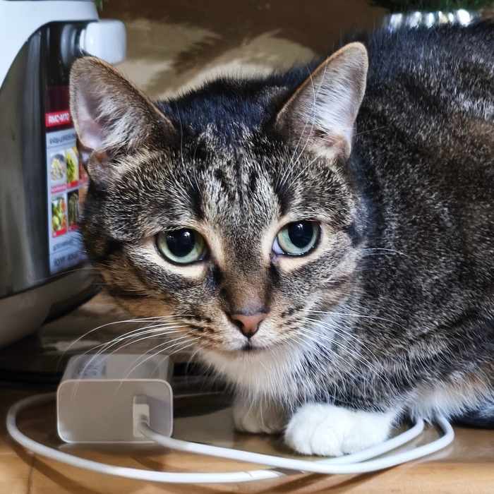 � ����� �����!