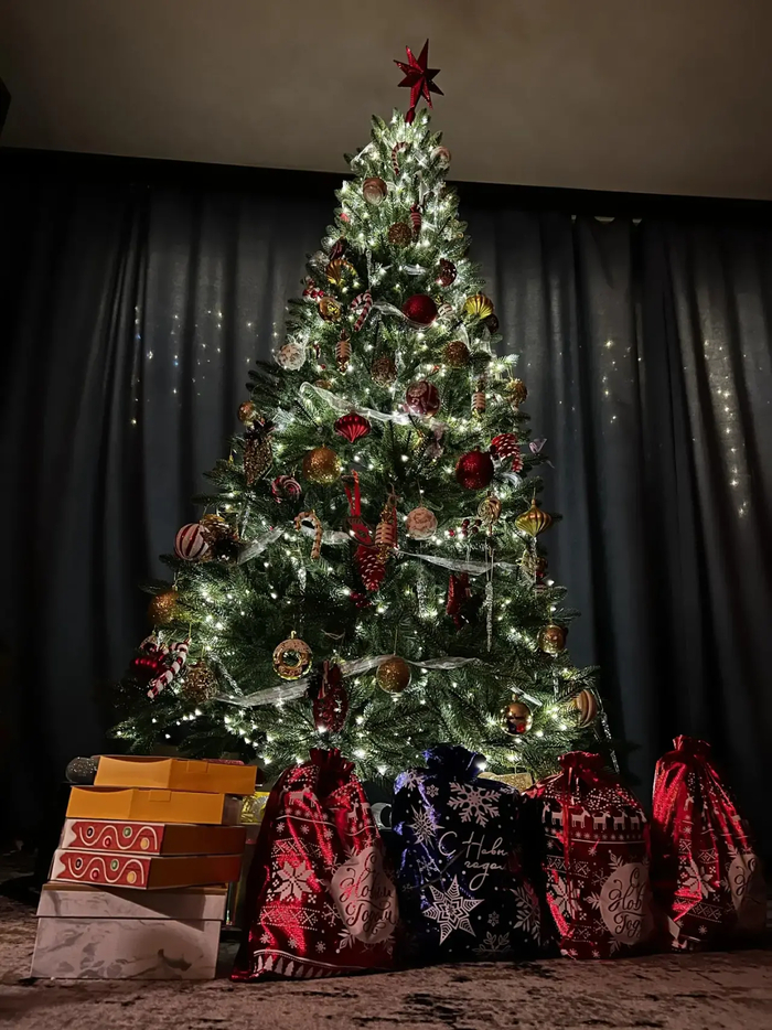 ������ � ���������