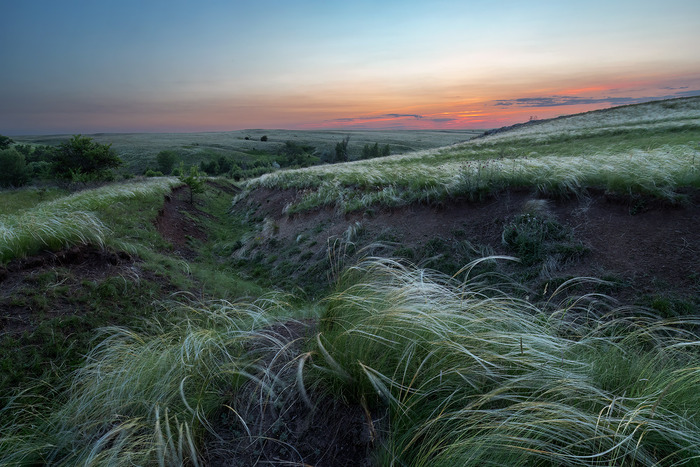 ����������...