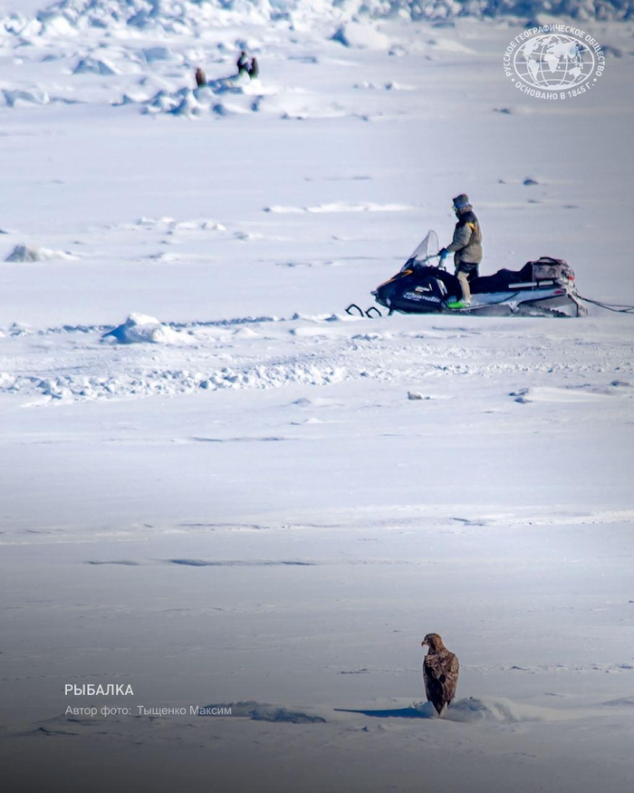 �������. ����: ������� ������, �������� ������������ ������ �������� ������ <a href="https://pikabu.ru/story/a_vdrug_chtoto_perepadyot_13557523?u=https%3A%2F%2Ft.me%2Frgo1845%2F17885&t=%D0%BE%D1%82%D1%81%D1%8E%D0%B4%D0%B0&h=3ba486b3c57b05d3ddd1ca8d88743c5fee50e707" title="https://t.me/rgo1845/17885" target="_blank" rel="nofollow noopener">������</a>