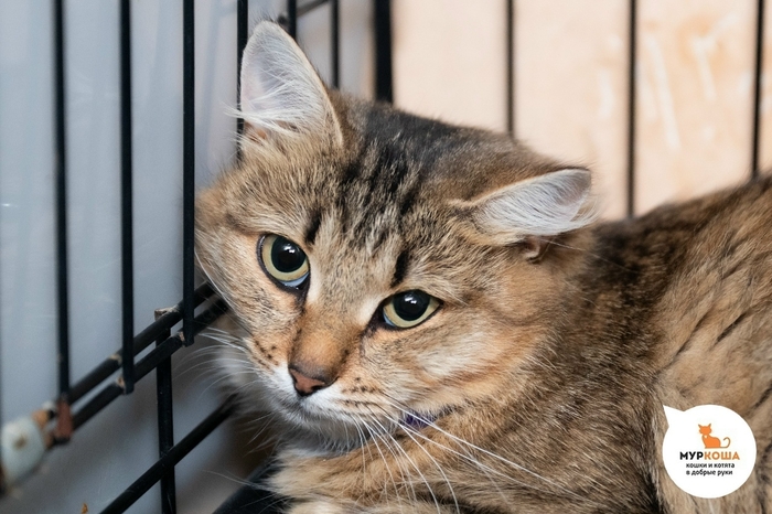 ����� ����, 1 ���, � ����������. �������������� ���. �������������� ������������ �������� ��� � ����� � �������-���������� ���. �������� ��������, ��� ��� �� ������ ��� �������� � �������� ������ ����� � �� ��������� ��.