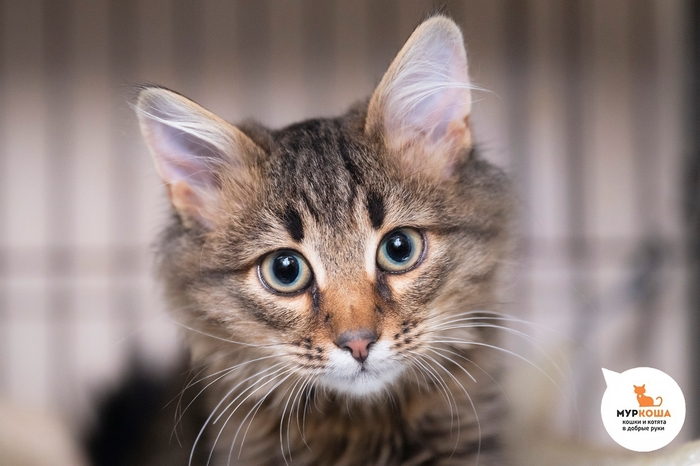 ������-������� ����� ����� �� ������ ����� 26 ������ 2025 ����.