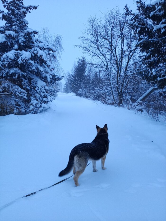 Вот и Новый год! Интересно, что там впереди?