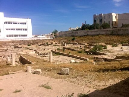 �������� ����. ���������