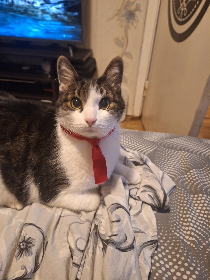 ������ ���������)