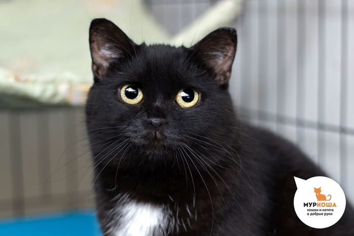 ����� ������, 6 ���, ������� � �����.