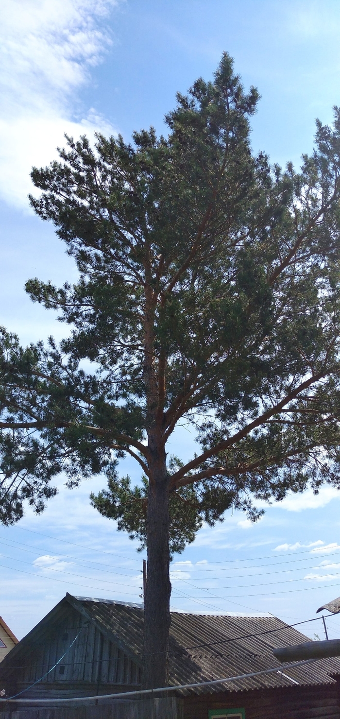 �� ����� �����. �������, ���������, �� �������