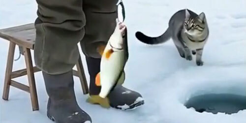 ������ �������. ���������� ��������. ���������� ����������� ������� 2026. (3 �� 6)