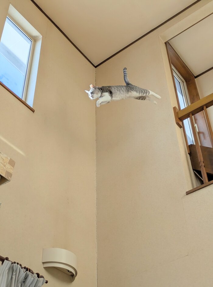 <!--noindex--><a href="https://pikabu.ru/story/pryigovavae_13559605?u=https%3A%2F%2Fx.com%2Fi%2Fstatus%2F2006880445376733531&t=https%3A%2F%2Fx.com%2Fi%2Fstatus%2F2006880445376733531&h=3af48e1292b1ae2735178f83b525df71e60e55e7" title="https://x.com/i/status/2006880445376733531" target="_blank" rel="nofollow noopener">https://x.com/i/status/2006880445376733531</a><!--/noindex-->