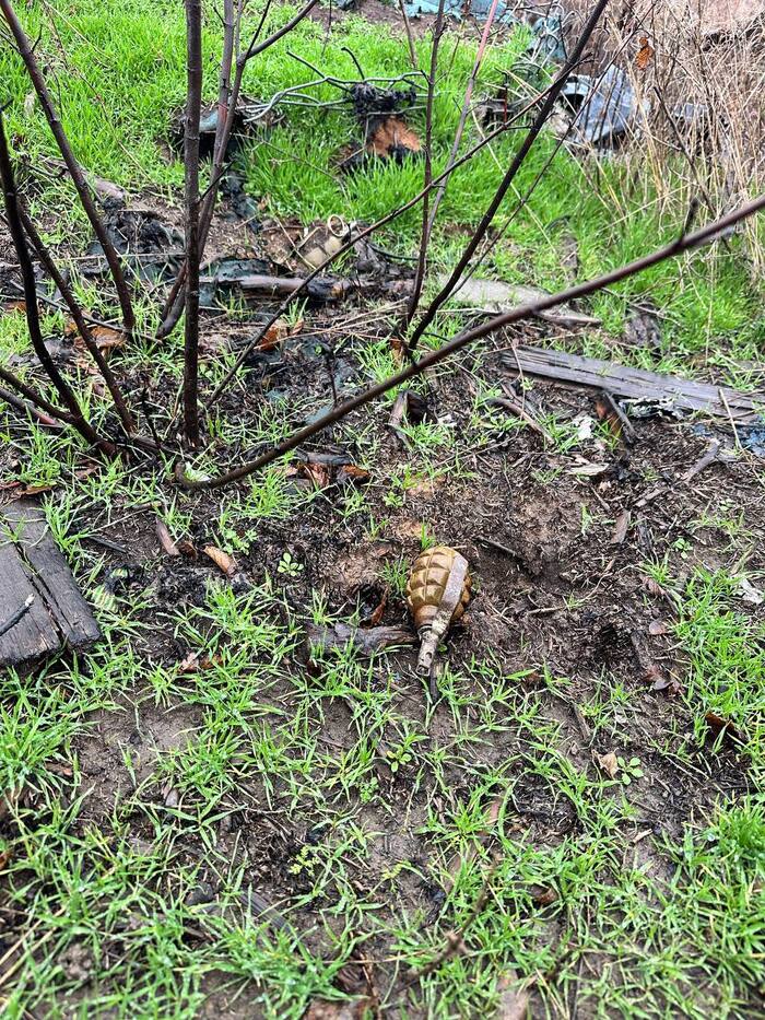 скорее всего - сброс, но что-то пошло не так...