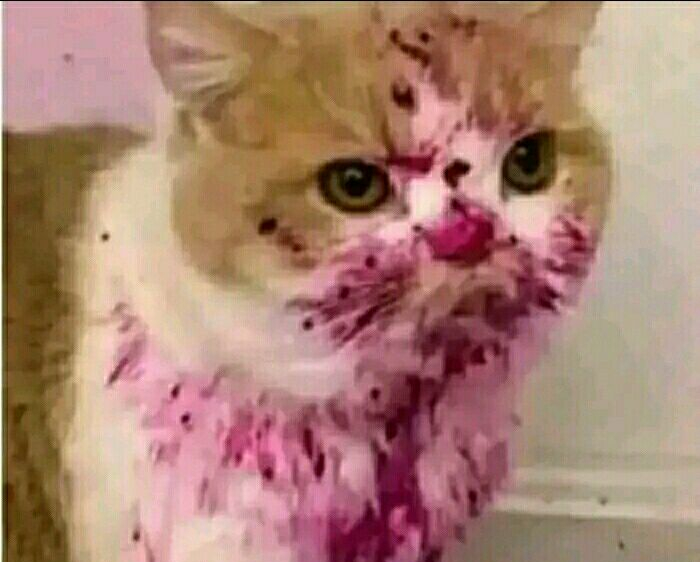 ����� ������� ������� ��������� ��� ����� �� ����� ���