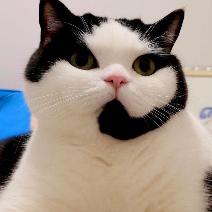 ������� �� ��� ������, �������� �� �����!