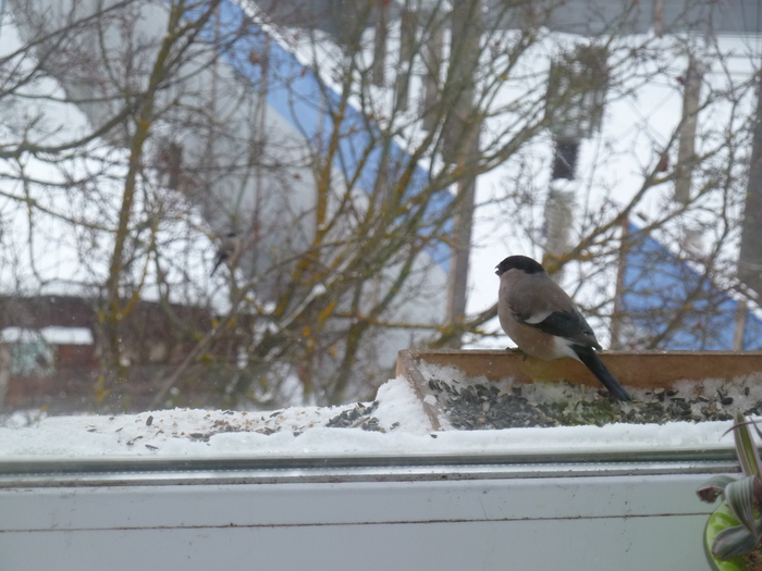 ����������� ����� �������, ��� ����, ������ �� ���������� � ��������