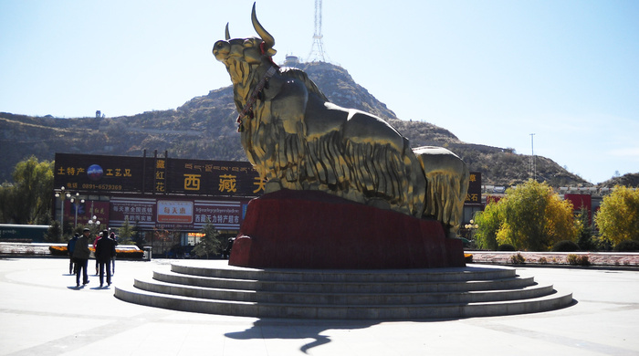 �������� ���