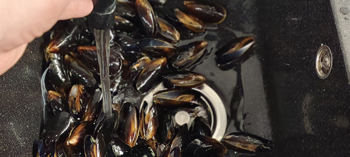 ����� ��������