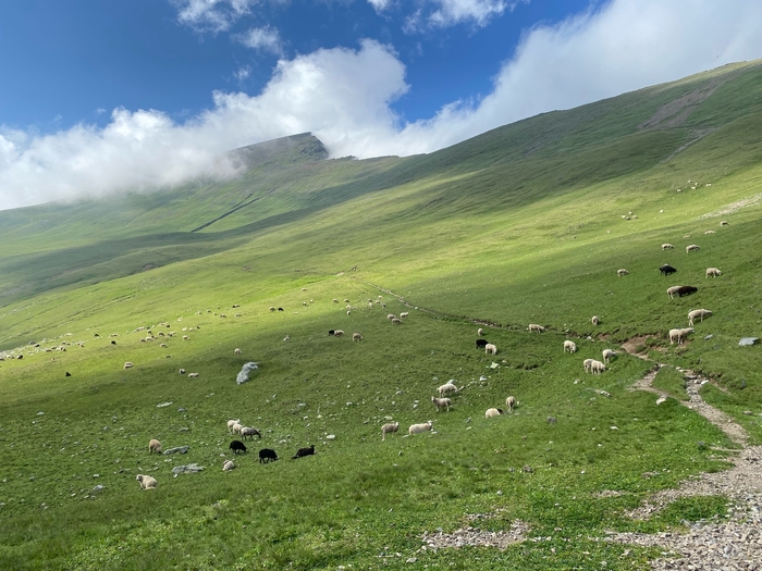 ������� �����