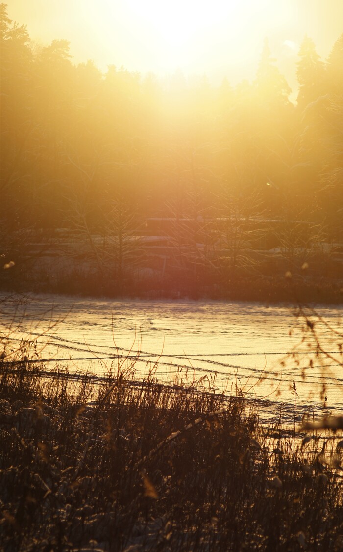 ��� ������� �������-��������