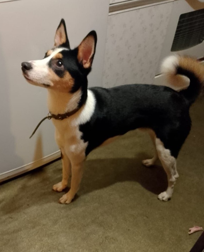 ������� ������ �������� �� ������!