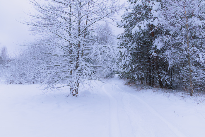 Зимняя дорога