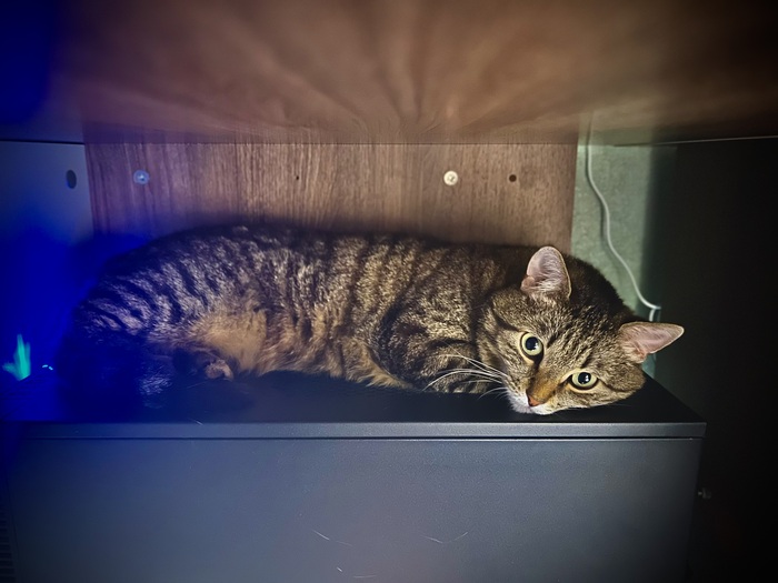 �� ��������� ����� ���, ����� ����� ��������.