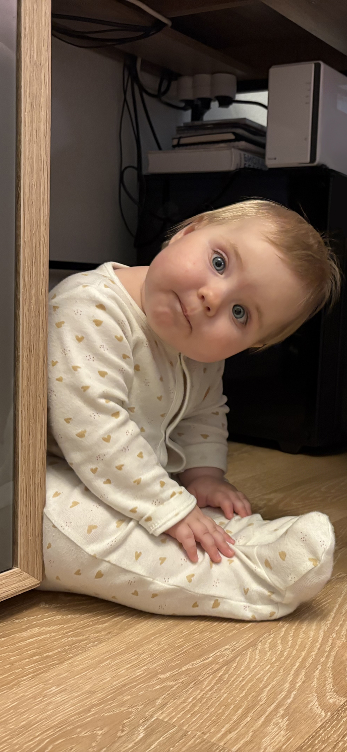 ������� ������� �� 2026 ���