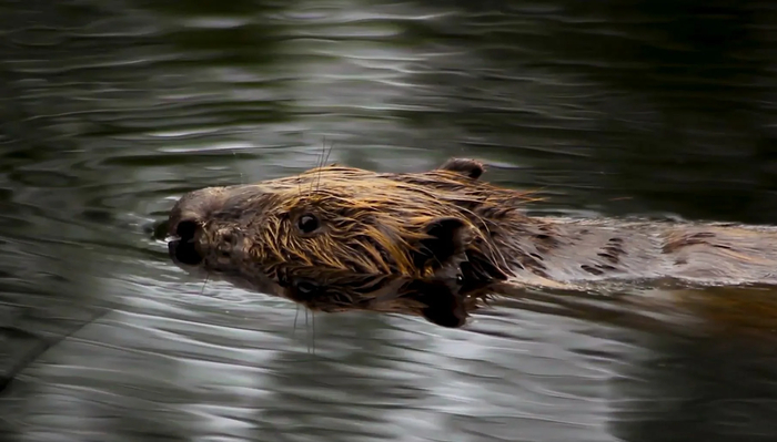 ���������������� ������ ���� (� ����, ��� �� ������ ��� ����������!)