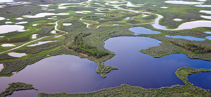 ���� ����������� ��������