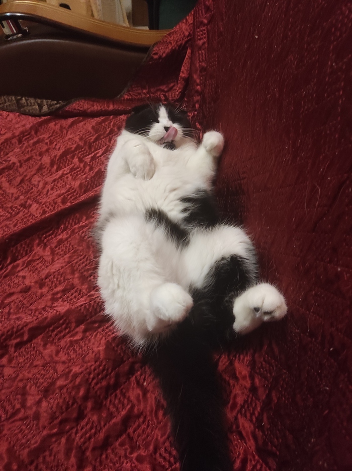 �����������, ����